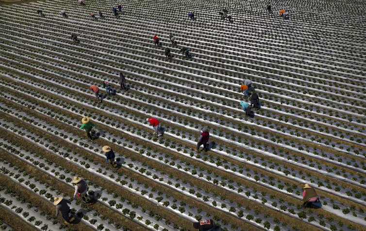 Mass Deportations - Bucks County Beacon - Deporting Millions of Immigrants Would Shock the US Economy, Increasing Housing, Food and Other Prices