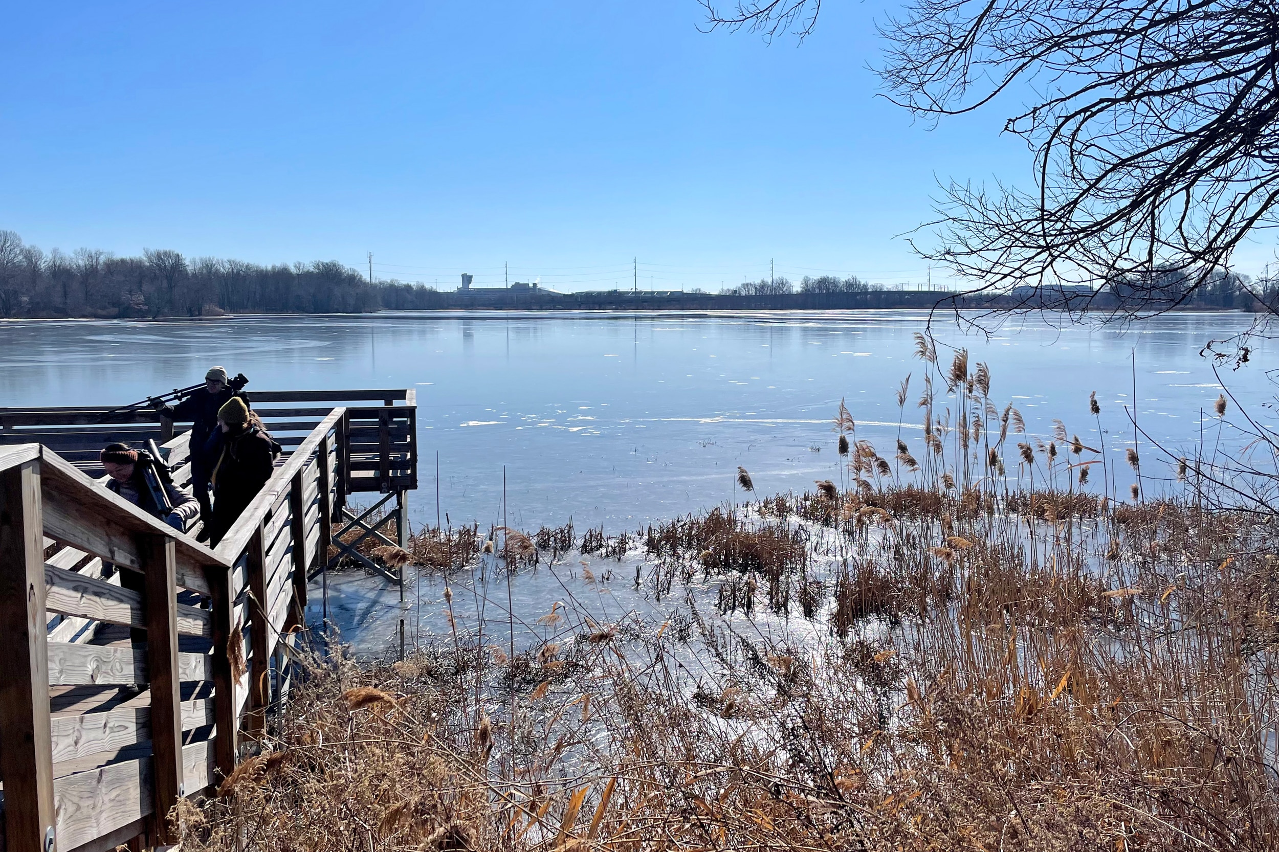 John Heinz National Wildlife Refuge 3206 - Bucks County Beacon - Microplastics Lurk in Freshwater Environments Across Pennsylvania